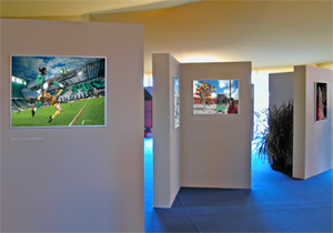 Exposition de Tableaux lenticulaire